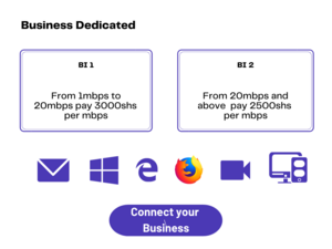 Business Internet Service Provider