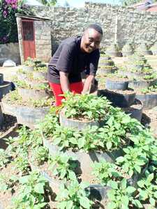 Storey Garden/kitchen Garden