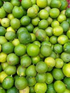 Lime