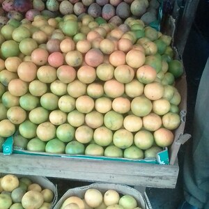 Local Mangoe