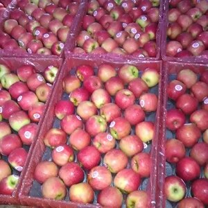 Imported Apples