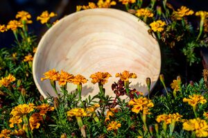 Round Wooden Bowl