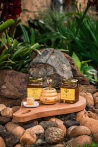 Organic Raw Honey