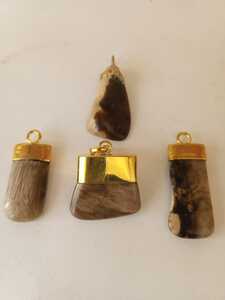 Petrified Wood Gemstone Pendant