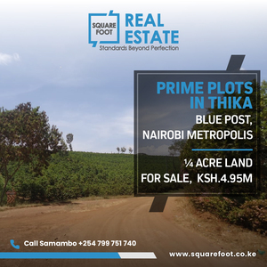 1/4 Acre Land Bluepost Thika